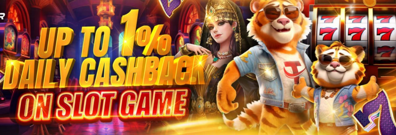 55 com bet